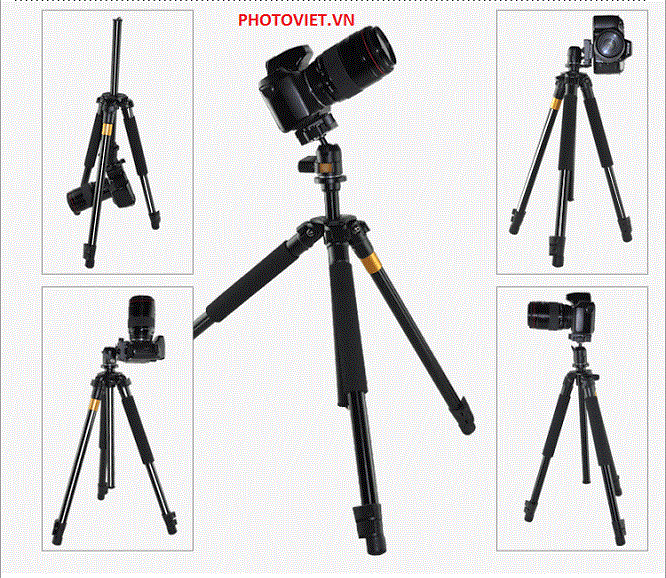 Chân Máy Ảnh Chuyên Nghiệp Tripod Beike Q308 Photoviet