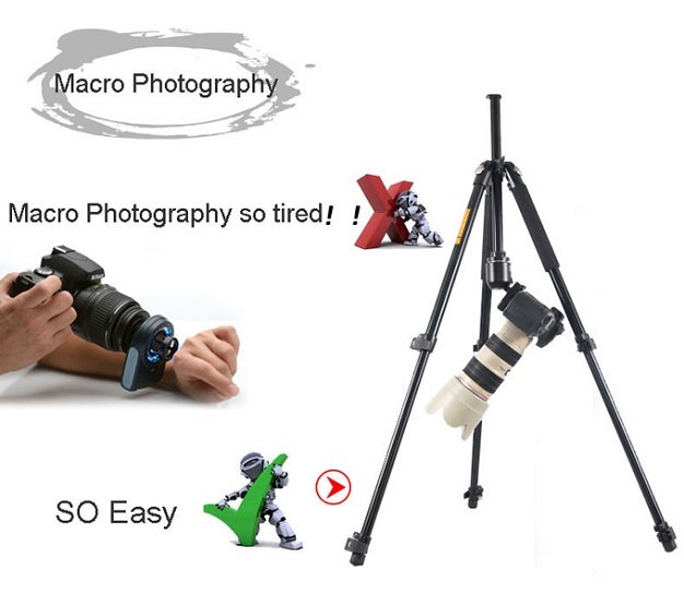 Chân Máy Ảnh Chuyên Nghiệp Tripod Beike QZ304 Photoviet