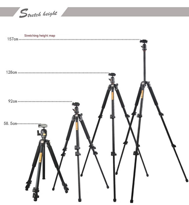 Chân Máy Ảnh Chuyên Nghiệp Tripod Beike QZ304 Photoviet