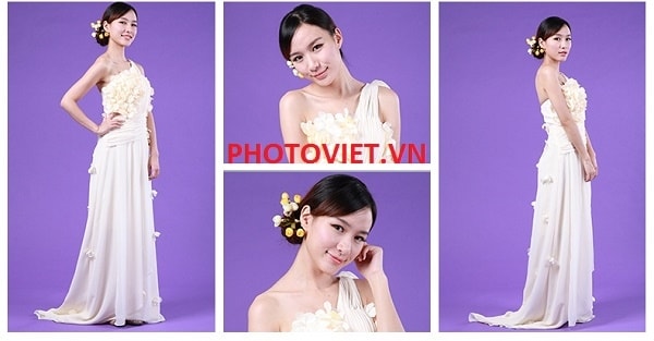 Phông Nền Giấy Mỹ Màu Tím Mã Số 29 Photoviet